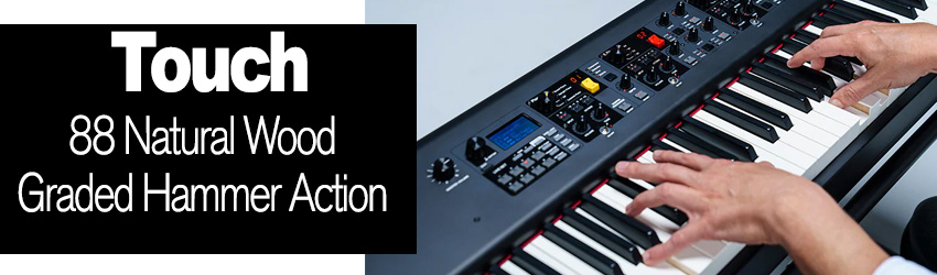 Yamaha CP88 NW Natural Wood Graded Hammer Keys